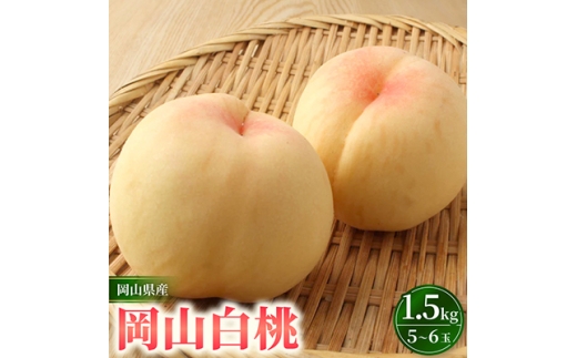 岡山県産　岡山白桃　5～6玉入り　1.5キロ 化粧箱入り【1726279】