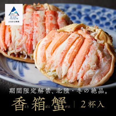ふるさと納税 小松市 【先行予約】「香箱ガニ」2杯セット 石川冬の味 かに 蟹 せこがに