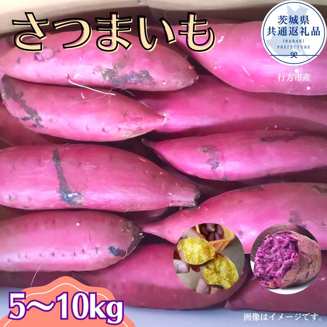 【ふるさと納税】さつまいも 選べる品種と数量 5～10kg シルクスイート 紅はるか すずほっくり ふくむらさき ひめあやか （茨城県共通返礼品・行方市産）