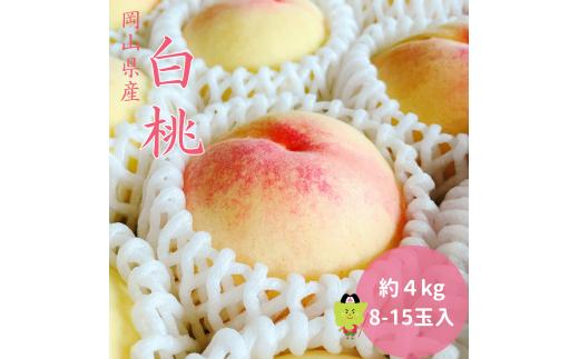 土-17　白桃 岡山 秀品 大玉 約4kg 8-15玉 岡山県産 桃 もも  御中元 ギフト 御礼 プレゼント 御礼 御祝 御供 果物 くだもの フルーツ