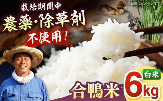 [栽培期間中 農薬不使用 ]古野農場の 合鴨農法 で作った 合鴨米 （ 白米 ）6kg ▼ 福岡 おすすめ 美味しい 名産品 精米 桂川町/合鴨家族 古野農場[ADAL002]