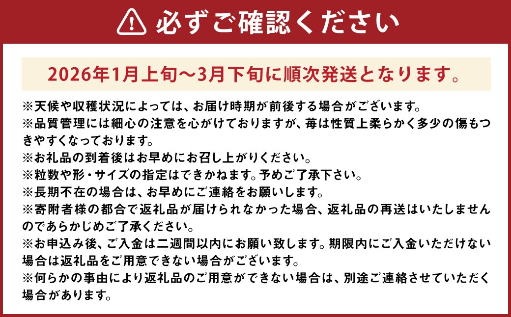 特別栽培の 濃厚 完熟 あまおう 約500g 約250g×2パック