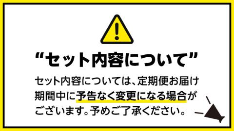 【 定期便 全6回 隔月 お届け 】 新宿 中村屋 レトルト 食べ比べ セット ( Bセット 17種 ) 人気 詰合せ 洋食 時短 カレー インドカレー ビーフカレー 欧風カレー 数量限定 贈答品