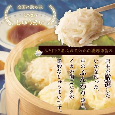 ふるさと納税 鹿島市 逸品!いかしゅうまい 10個入×2P |  | 01
