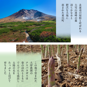 【大坪農園】≪2026年 先行予約≫ 春の恵み　北海道東川町産アスパラガス　2Lサイズ　1㎏