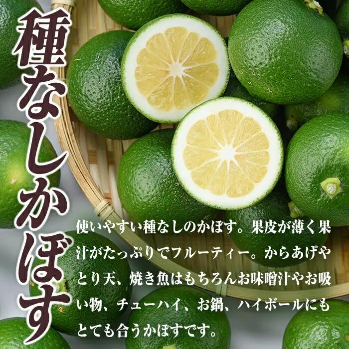 ＜先行予約受付中！2026年8月下旬以降順次発送予定＞おもとの丘の種なしかぼす(4kg)柑橘 かんきつ カボス 種無し 期間限定【111300900】【未来農林】