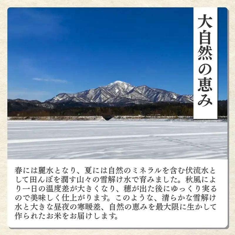 令和7年産 食味鑑定士厳選 新潟県産こしひかり 無洗米 3kg 上越市 米 コメ コシヒカリ