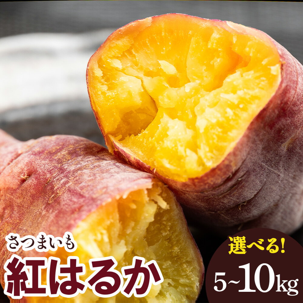 【ふるさと納税】【選べる内容量】さつまいも 紅はるか 5kg／10kg - サツマイモ さつま芋 野菜 焼き芋 やきいも 焼いも おやつ スイーツ スイートポテト 天ぷら 国産 高知県 香南市【常温】Rgr-0148