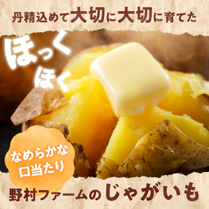【先行予約】北海道産 じゃがいも食べ比べセット 「きたあかり・男爵」 5kg  ジャガイモ 芋 いも 秋野菜 季節の野菜 直送農場 北海道雨竜町産 サイズ混同 野菜