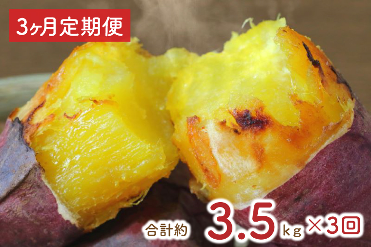 【3ヶ月定期便】★少し大きめサイズ★熟成紅はるか冷凍焼き芋約2.8kg＋おまかせ品種さつまいも 合計約3kg｜さつまいも サツマイモ さつま芋 焼き芋 やきいも 冷凍 冷凍焼き芋 紅はるか 定期便 茨城県 行方市(EY-12)