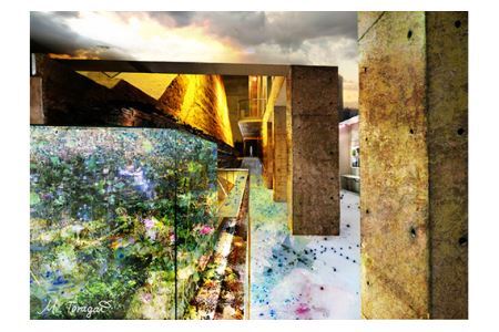 No.182 6－RA4 大阪狭山市×ローレフォト 天空のツリーハウス