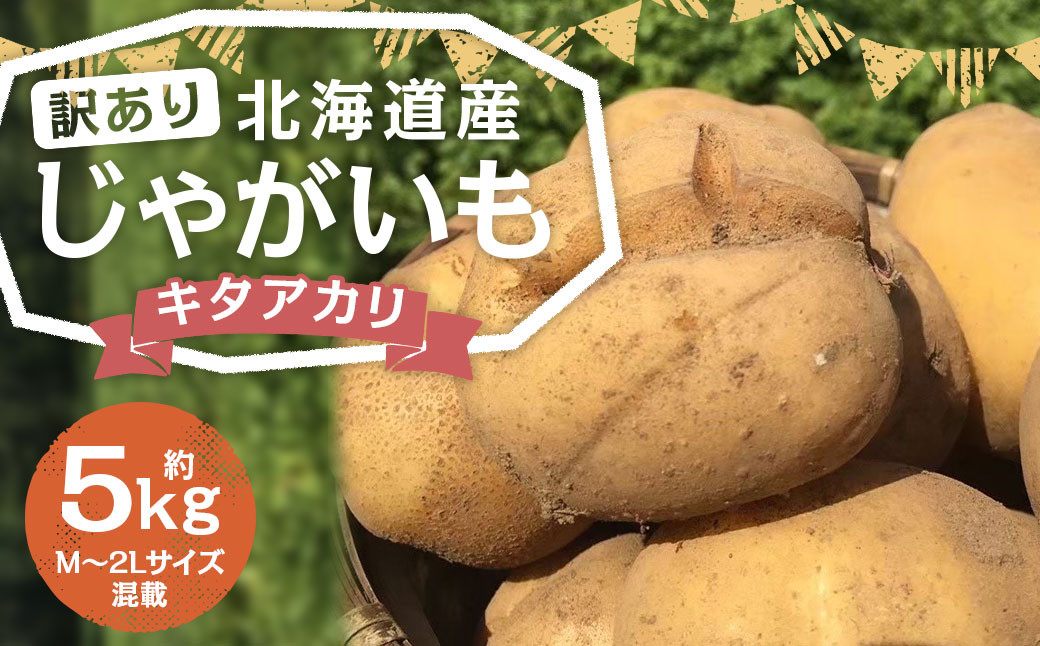 
            【訳あり】北海道産 じゃがいも キタアカリ M～2Lサイズ混載 約5kg 1箱 山田農場 ジャガイモ 芋 いも イモ 訳アリ わけあり ワケアリ 国産 【2025年9月下旬-2026年3月上旬迄発送予定】
          