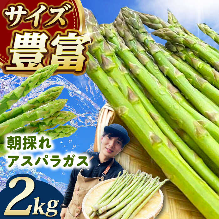 【ふるさと納税】 朝採れアスパラガス2kg 《対馬市》【農家くんのアスパラファーム】 冷蔵 アスパラ とれたて 新鮮 野菜 産地直送 [WCT002]