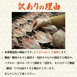 訳あり アジ 干物 約5kg  国産 真アジ 鯵 沼津 アジ