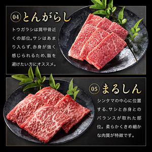 神戸牛 焼肉 希少部位 5種食べ比べ 計400g 80g×5 ミスジ ヒウチ 三角バラ トウガラシ マルシン 焼肉セット 焼き肉 牛肉 和牛 黒毛和牛 お肉 冷凍 福袋 