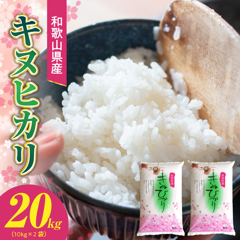 BB6222_和歌山県産 キヌヒカリ 20kg ( 10kg × 2）2025年産
