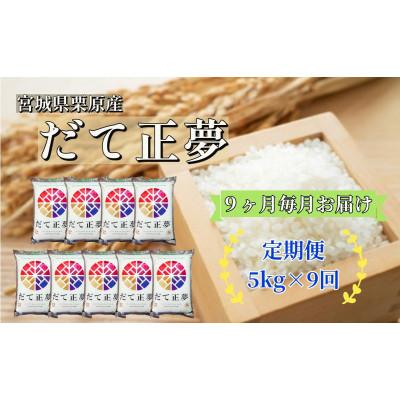 ふるさと納税 栗原市 【毎月定期便】だて正夢白米5kg 宮城県栗原産全9回