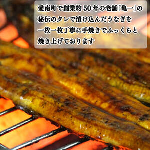 国産うなぎ 鰻 蒲焼 白焼 セット うなぎ
