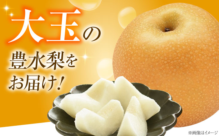 藤渕果樹園の豊水梨（ほうすいなし） 8～10玉入り 〈2026年8月～発送〉 ／ フルーツ 果物 くだもの 食品 人気 おすすめ 送料無料 梨 なし 豊水梨 季節のフルーツ 【株式会社内子フレッシュパ