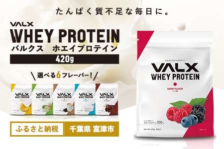 【最短5営業日以内発送】VALX ホエイプロテイン 420g ベリー風味 プロテイン ベリー