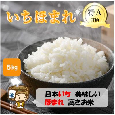 ふるさと納税 あわら市 【令和7年産】いちほまれ 精米 5kg×1袋《お米マイスターが発送直前に精米!》