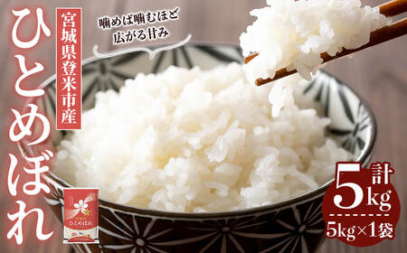 ≪令和7年産≫ ひとめぼれ 5kg (5kg×1袋) 登米市産 お米 おこめ 米 コメ 白米 ご飯 ごはん おにぎり お弁当 【登米ライスサービス株式会社】tm146