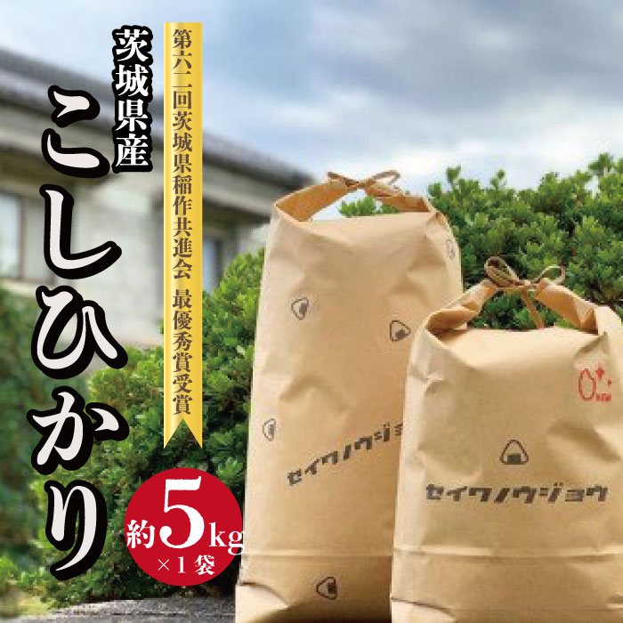 AF-5 【令和6年度】茨城県産 コシヒカリ ５ｋｇ