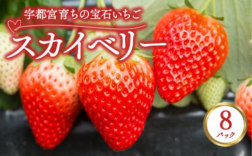 
            宇都宮育ちの宝石いちご「スカイベリー」 8パック | 苺 イチゴ 果物 フルーツ 栃木県 宇都宮市 ※2025年12月中旬～2026年3月下旬頃に順次発送予定
          