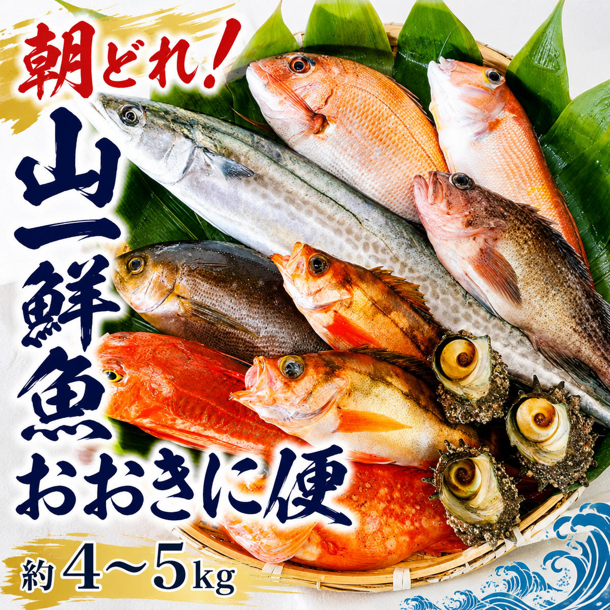 京都府宮津市産『朝どれ！山一鮮魚おおきに便』約4?5kg 魚介類 セット 産地直送 鮮魚 内臓処理加 鮮度抜群 冷蔵 詰め合わせ 旬 鯛