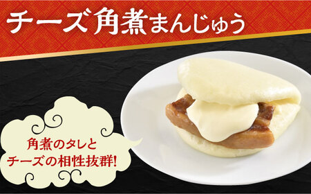 【6回定期便】角煮 まんじゅう 三種 食べくらべ セット 計48個（箱）岩崎本舗 大村市[ACAH064]
