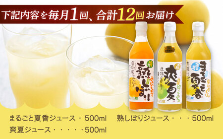 【全12回定期便】【自家栽培の柑橘のみを使用】みかん ジュース 3本 セット【善果園】[KAA526]