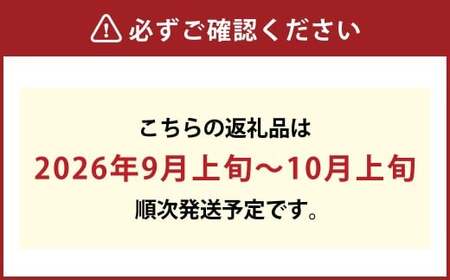 ぼっけえ大粒ピオーネ1房 800g以上 化粧箱入り【2026年9月上旬～10月上旬まで順次発送予定】【ピオーネ ぶどう 人気フルーツ 岡山フルーツ おすすめフルーツ 岡山県 倉敷市】