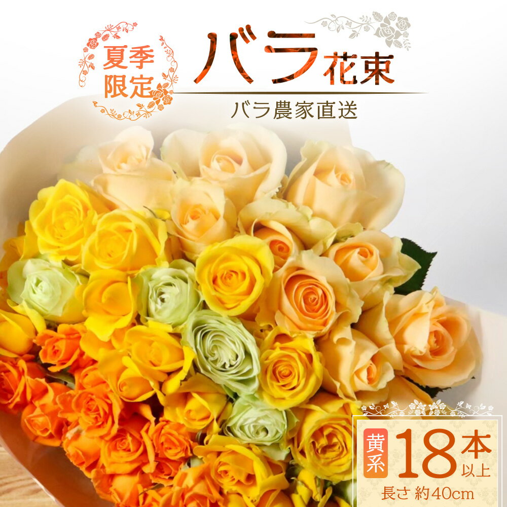 【ふるさと納税】【先行予約・夏季限定 薔薇】ばら農家直送！バラ花束18本以上お届け(黄系)【ギフト対応可】TB-3│ローズ 新鮮 花 フラワー 花束 ばら 薔薇 バラ 誕生日 記念日 結婚祝い ギフト プレゼント お祝い 贈り物 贈答 鹿児島県 南大隅町 富田バラ園
