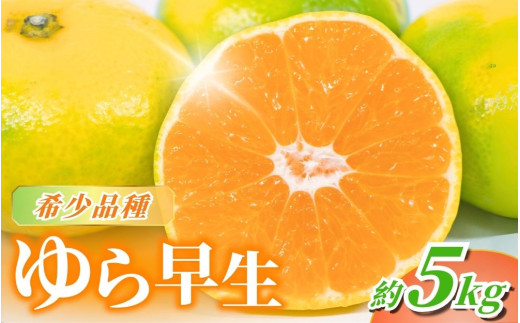 【2026年秋頃発送予約分】＼農家直送／甘くて濃厚！希少品種 ご家庭用 ゆら早生みかん　約5kg　サイズ混合　※2026年10月中旬で申込締切　※2025年10月上旬より順次発送予定（お届け日指定不可） / みかん ミカン 有田みかん 温州みかん 柑橘 有田 和歌山 産地直送  くだもの 果物 フルーツ 柑橘類 和歌山 すさみ町【nuk109F】