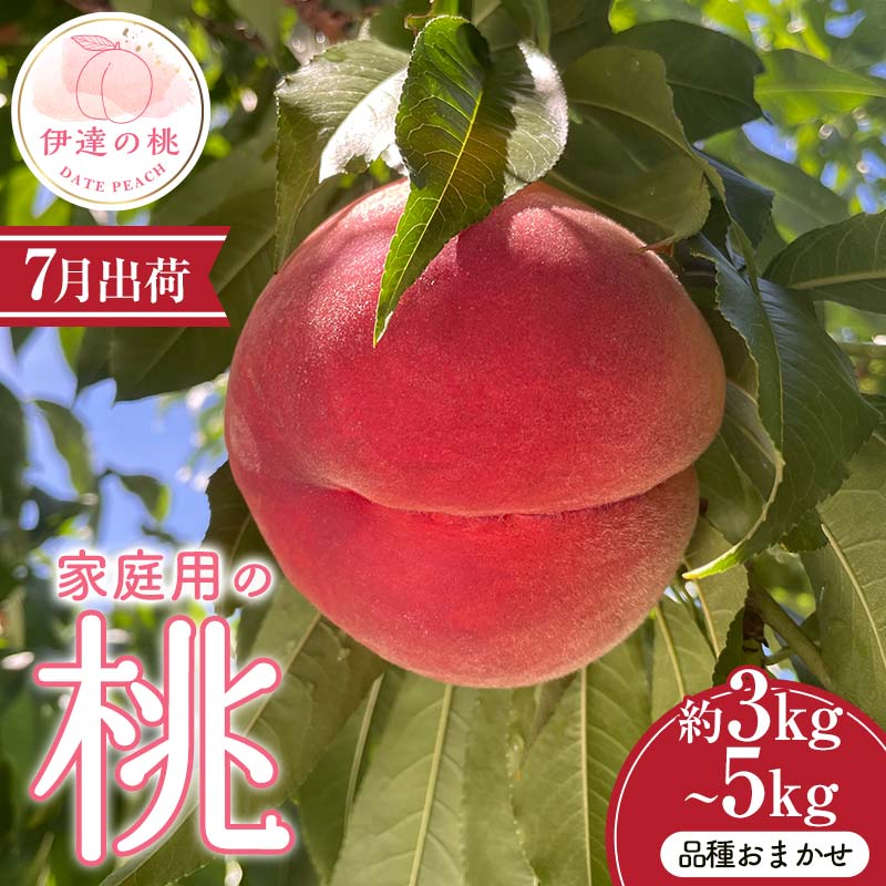 【ふるさと納税】2025年7月出荷分 先行予約 【家庭用の桃】 品種おまかせ 《選べる容量》 約3kg or 約5kg 伊達市産 桃 予約 伊達の桃 桃 もも モモ 果物 くだもの フルーツ 国産 F21C-081var