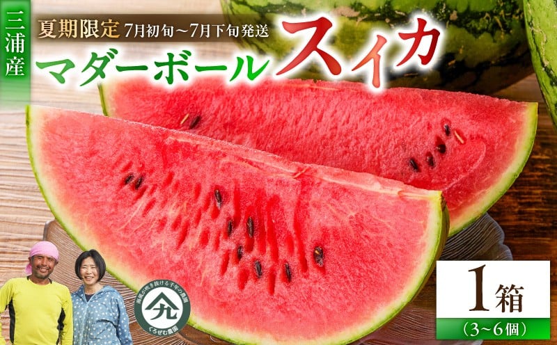 
            マダーボールスイカ　M001-002
          