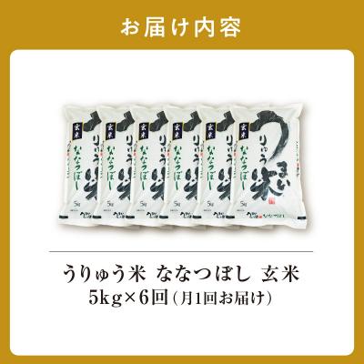 ふるさと納税 雨竜町 【定期便全6回】 うりゅう米 ななつぼし 玄米5kg(5kg×1袋)毎月1回お届け 雨竜町 |  | 03