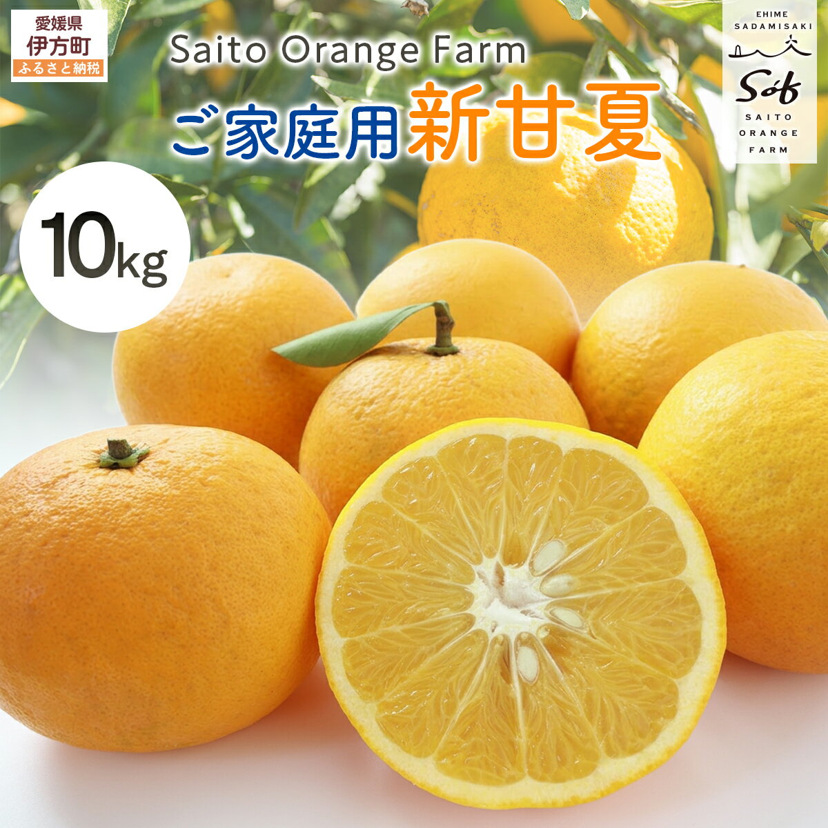 【ふるさと納税】【先行予約】Saito Orange Farm ご家庭用 新甘夏10kg （2027年3月下旬頃より順次発送予定） ふるさと納税 人気 おすすめ 柑橘 みかん ミカン フルーツ 果物　甘夏　新甘夏　サンフルーツ　 愛媛 IKTAQ030