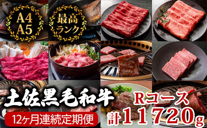 
【12回定期便】土佐黒毛和牛 食べ比べ 11720g (計11kg以上) | Rコース 厳選 国産 和牛 すき焼き しゃぶしゃぶ ステーキ 焼き肉 お肉 にく 霜降り 牛肉 ウデ肉 うで肉 モモ肉 もも肉 サーロイン リブロース 人気 贈答 ギフト プレゼント 小分け 数量限定 12ヵ月 頒布会 老舗 たけうちミート 高知県 須崎市 TM20000
