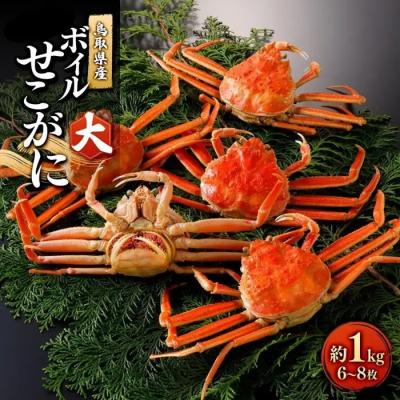 ふるさと納税 境港市 <11月中旬〜12月上旬発送予定>鳥取県産 ボイルせこがに大1kg(6〜8枚)