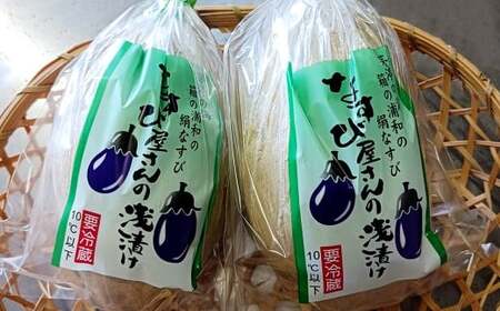 水なす なすび屋さんの浅漬け 計約1.75kg（約350g×5袋） 水茄子 水ナス なす ナス 茄子 なすび 浅漬け 漬物 漬け物 つけもの 【2025年9月下旬までに発送予定】