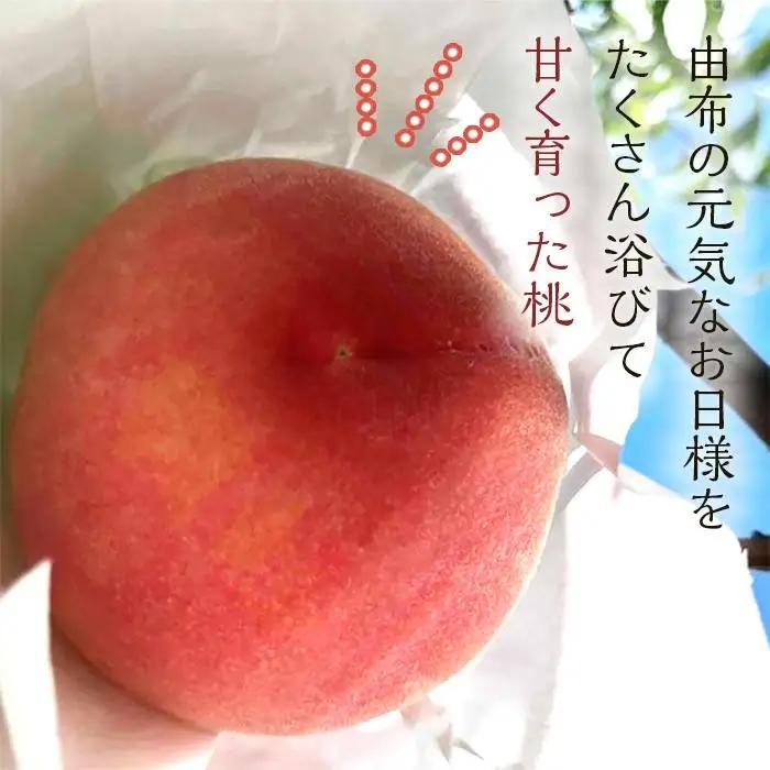 【2027年8月中旬以降より発送】旬の桃おまかせ約2kg・6～9玉（自家製有機肥料・減農薬・化学肥料無使用） 川中島白桃 黄桃 西王母 あかつき