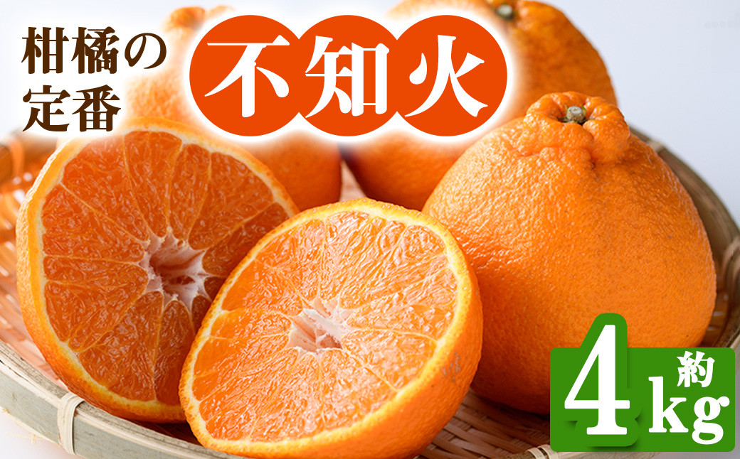 
            ＜先行予約！2026年2月下旬以降順次発送予定＞香川県産 不知火(約4kg) しらぬい 不知火 柑橘 フルーツ 産地直送 新鮮 香川 香川県 特産 果物 ふるーつ 旬 人気 お取り寄せ 【man093】【Aglio nero】
          