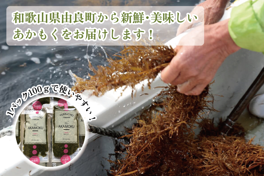 紀州あかもく［由良町産］100g×10パック（2024年産）【SL12】