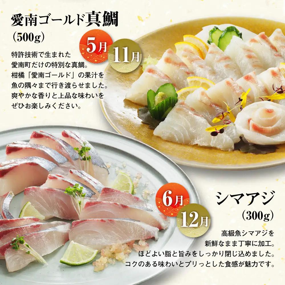 【 刺身 】 刺身定期便 6回