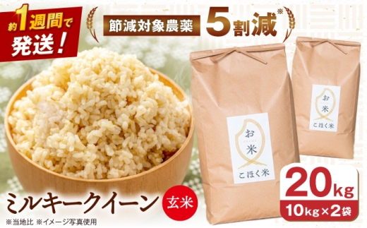 滋賀県 湖北のミルキークイーン 20kg (玄米)　米 お米 ご飯 ごはん ゴハン おにぎり 炊き込みご飯 人気 おすすめ