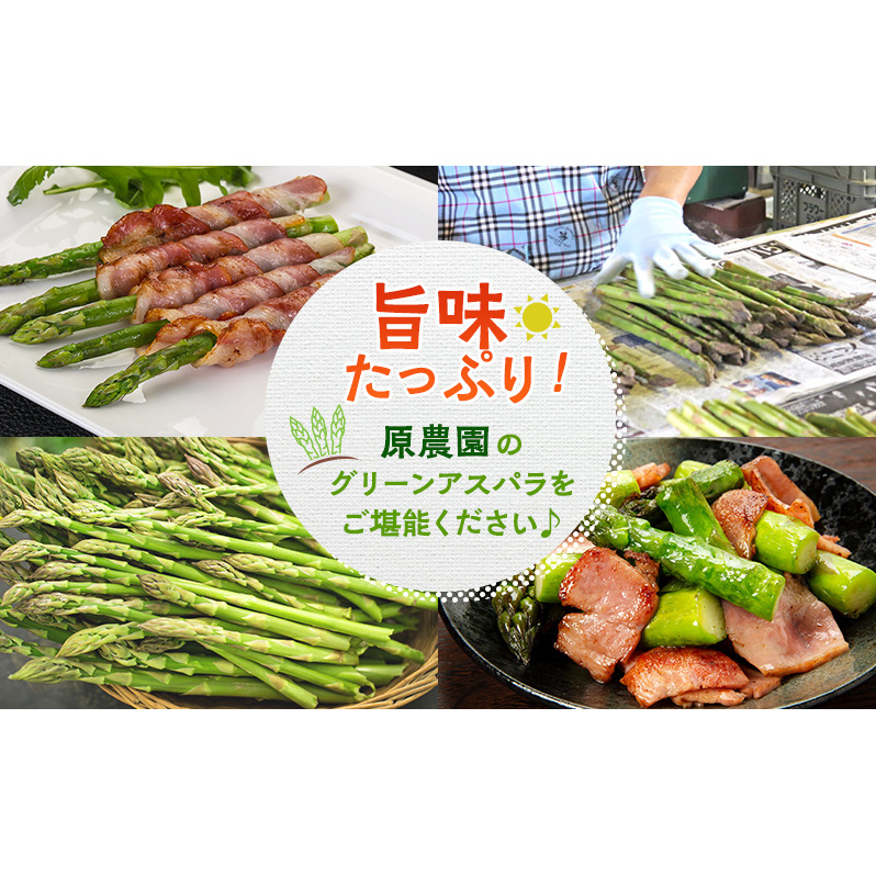 数量限定！【2026年分先行予約】 アスパラガス 専門農家 の 特選 グリーン アスパラ 800g  L サイズ 原農園 アスパラ あすぱら 野菜 北海道 上富良野町_イメージ5
