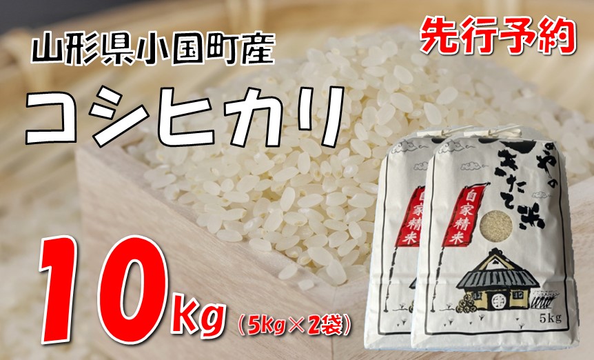 【令和７年新米  先行予約】コシヒカリ10kg（5kg×2袋）