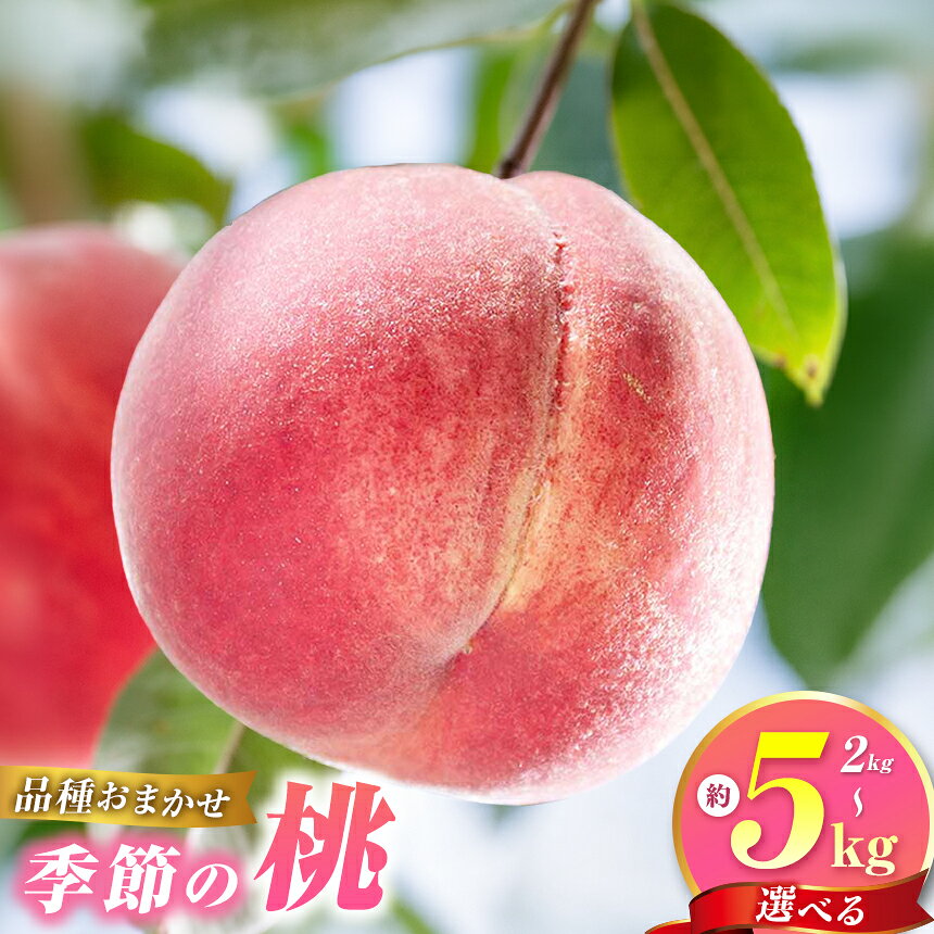【ふるさと納税】もも 季節の桃 約2kg 約3kg 約5kg 選べる 内容量［おぶせファーマーズ］モモ ピーチ フルーツ 果物 あかつき 川中島白鳳 なつっこ 川中島白桃 黄金桃 だて白桃 先行予約 長野県産 クール便 冷蔵便 産地直送