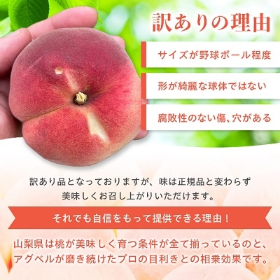 【訳あり】桃5～9玉2kg以上【配送不可地域：離島】
